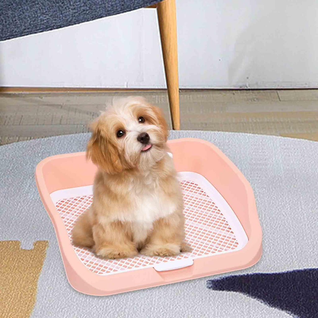 Pet Toilet Training Holder with Dog Potty Pad A157
