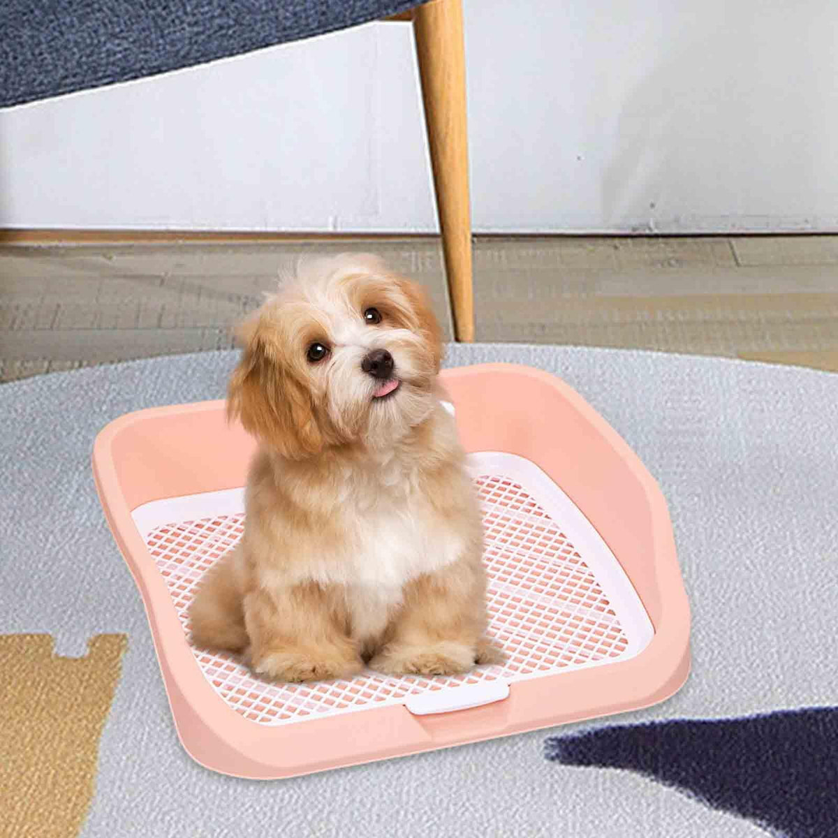 Pet Toilet Training Holder with Dog Potty Pad A157