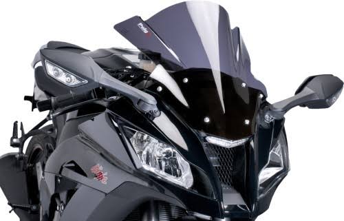 Dark Smoke Racing Windscreen S897460