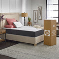 Queen Gel Memory Foam Mattress H981564