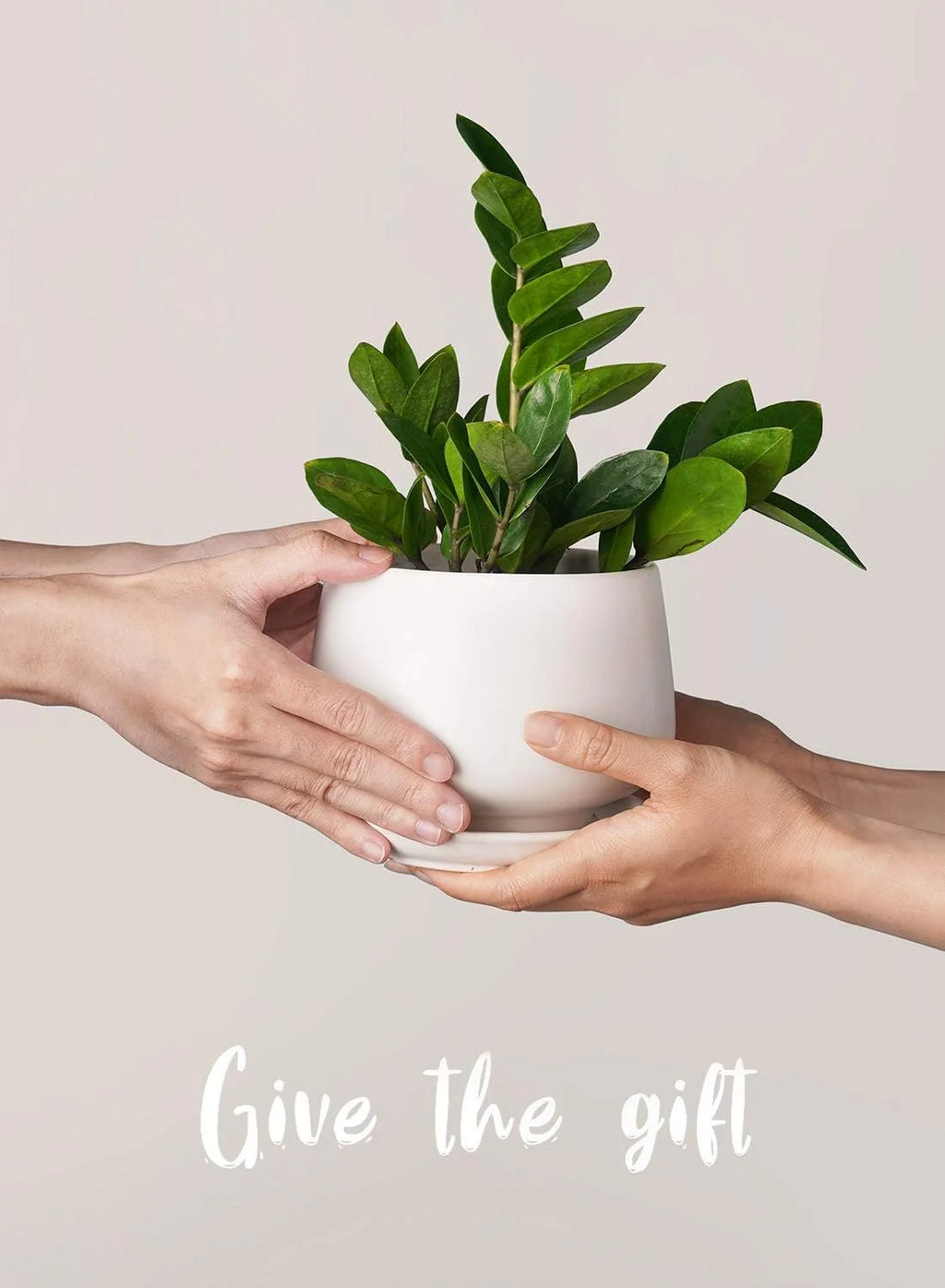 4.1+5.1+6.5 Inch Ceramic Plant Pots with Drainage Hole and Saucer, Set of 3, White F385
