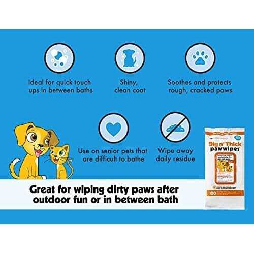 Pet Wipes 100 R1609