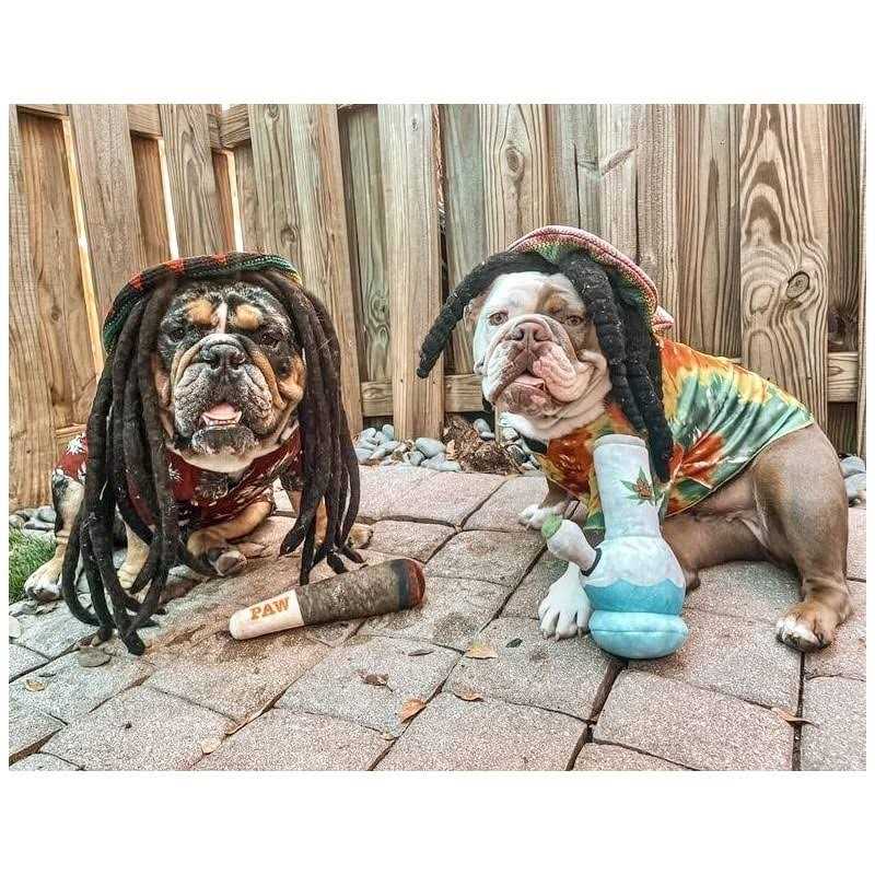 Plush Squeaky Dog Toys U660
