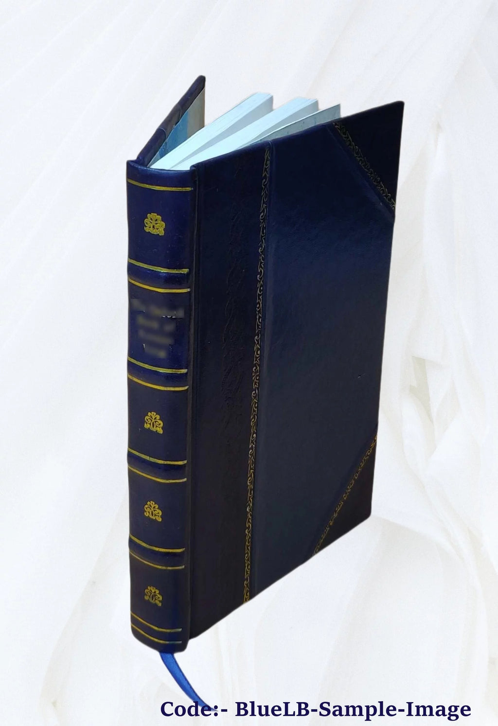 Novel A45636