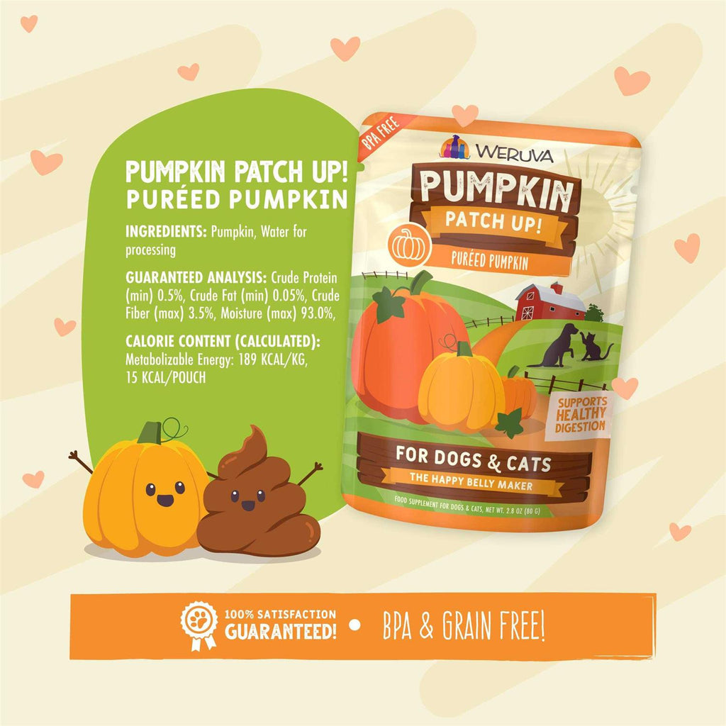 Pumpkin Patch Up O19979