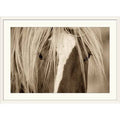 Photographic Print White Frame 28x22 H x 38x22 W x 1x22 D I224
