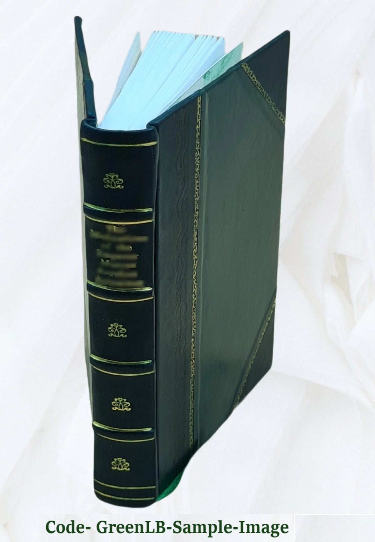 Novel A45636