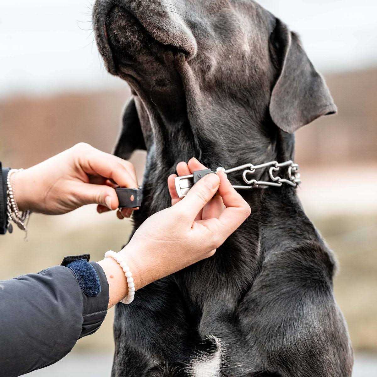 Stainless Steel Quick Release Buckle for Dog Collar N86980