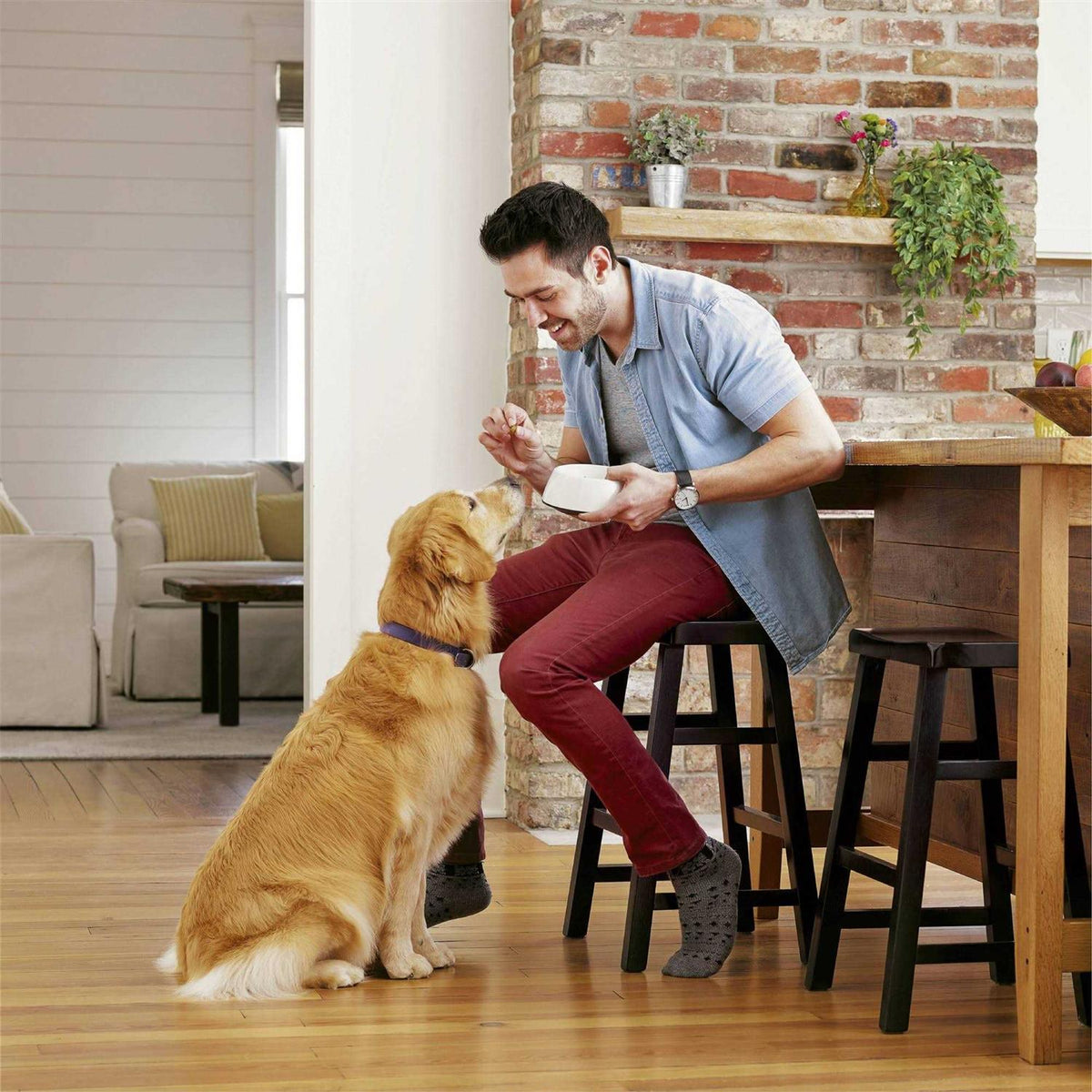Healthy Digestion Dry Dog Food with Real Chicken T82816