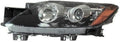 Driver Side Halogen Headlight B23538