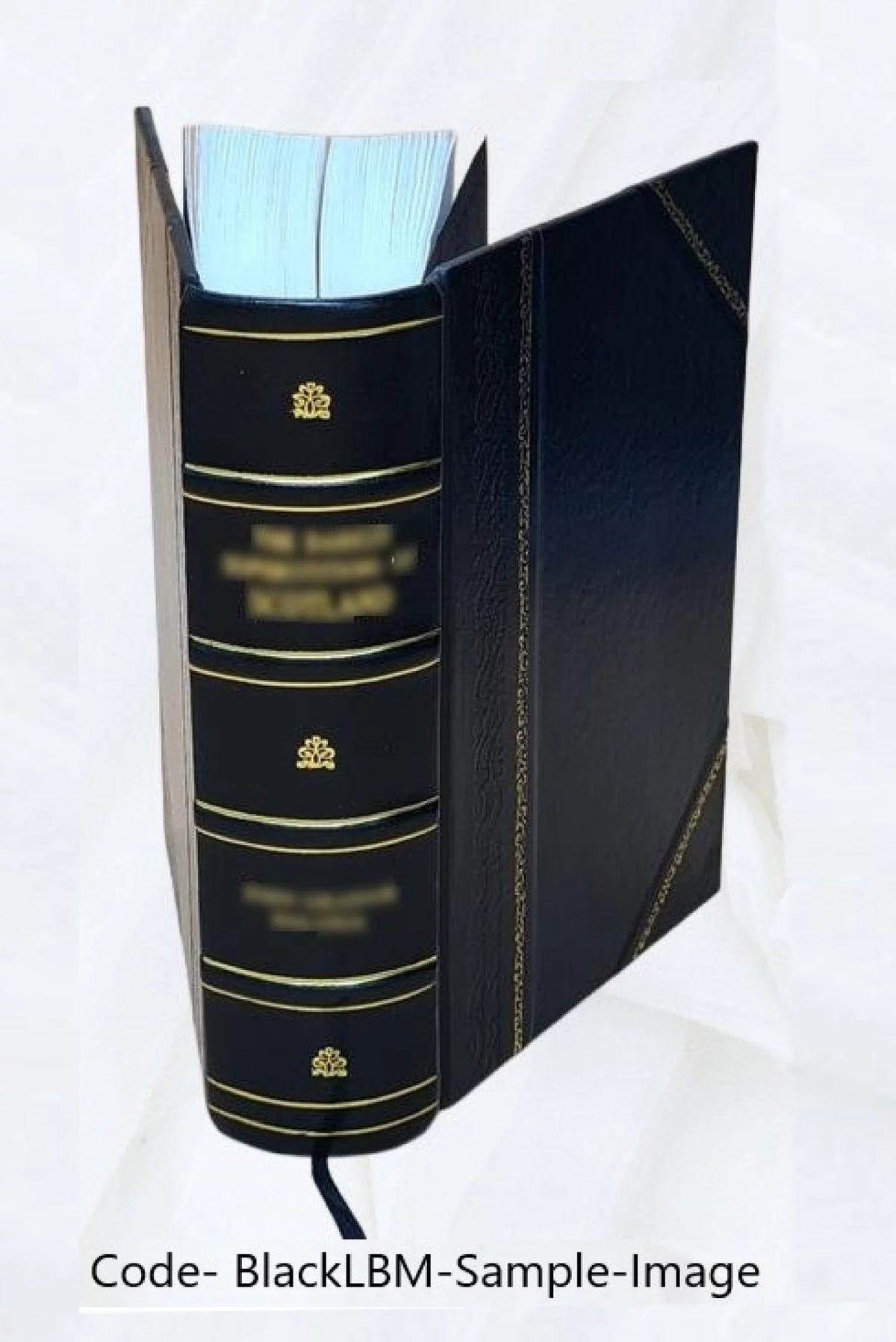 Leather Bound Book F39257