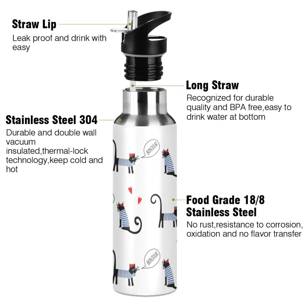 Stainless Steel Insulated Water Bottle with Straw Lid Q4790