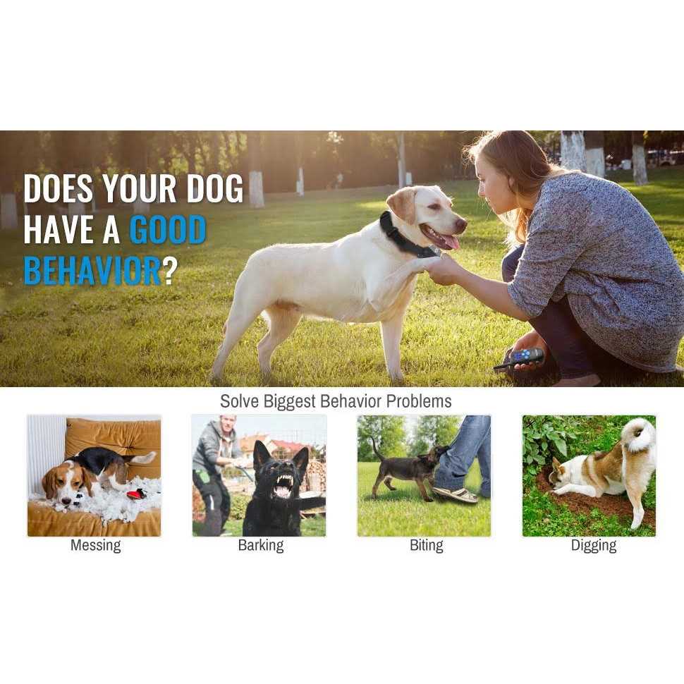 Rechargeable Dog Training Collar with Remote X211896