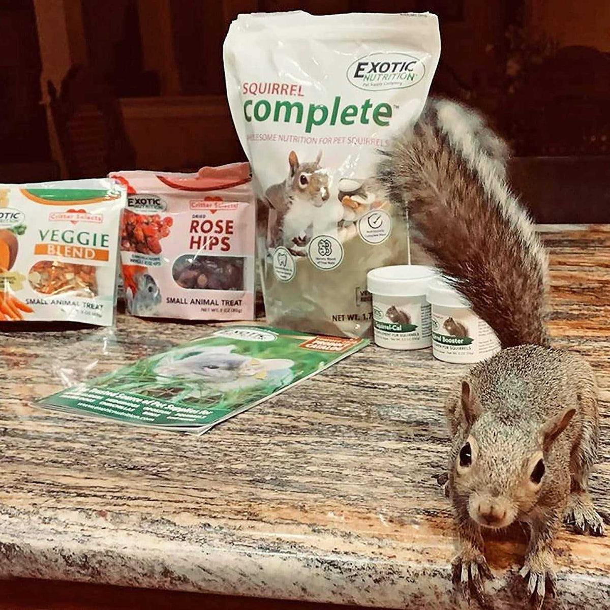 Squirrel Food Starter Package I74087