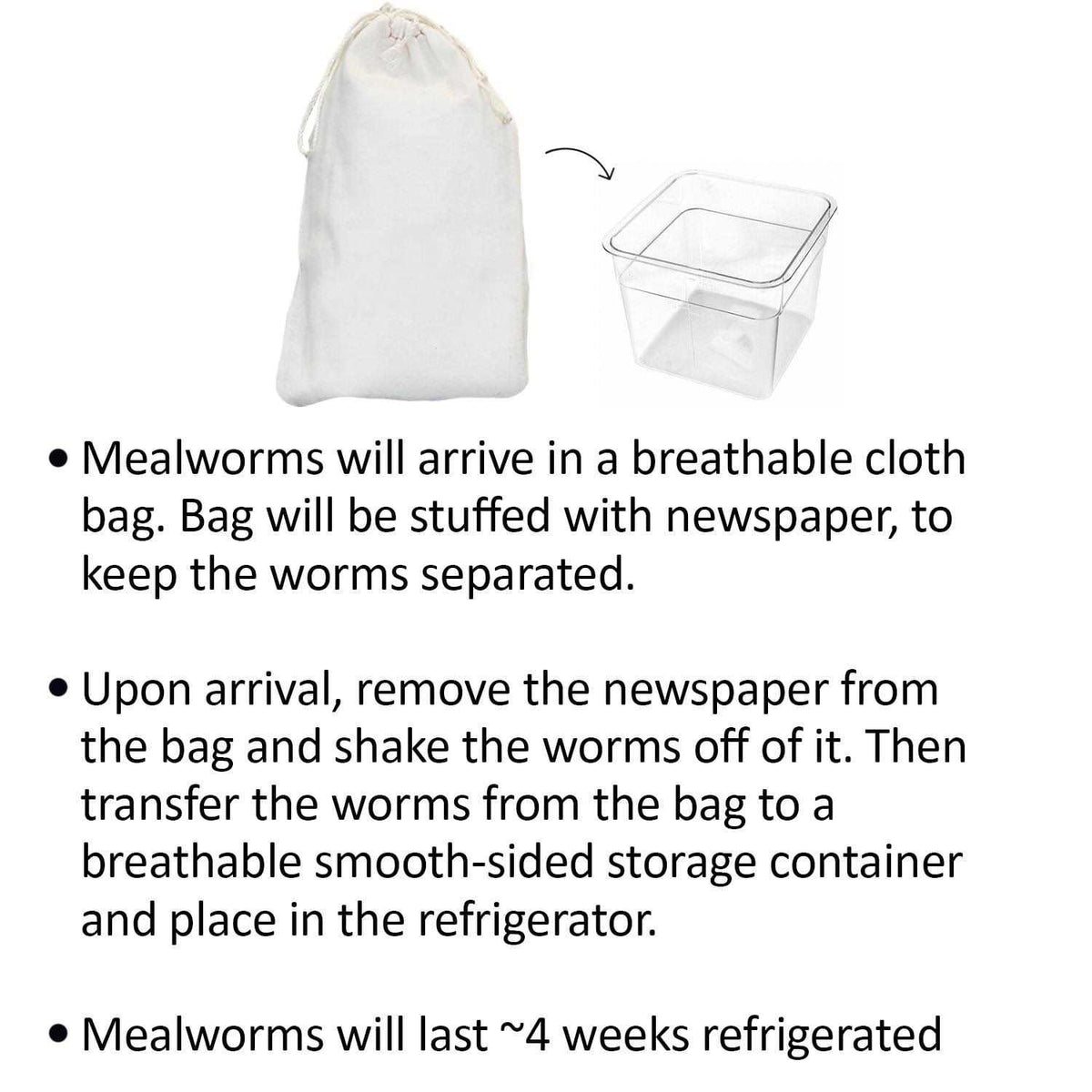 Mealworm Breeder Kit U677898