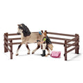 Andalusian Horse Care Set Y474993