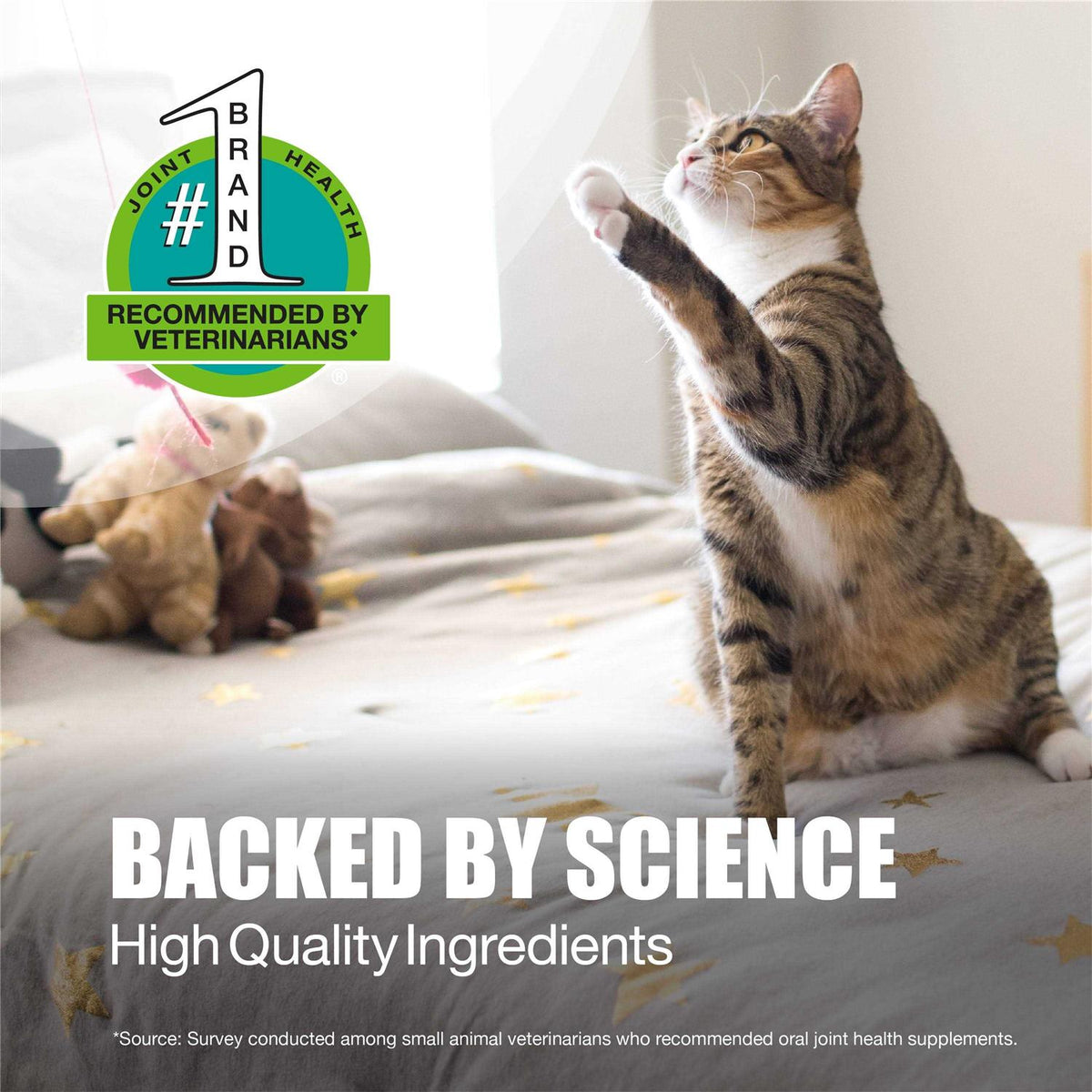 Dasuquin for Cats L624