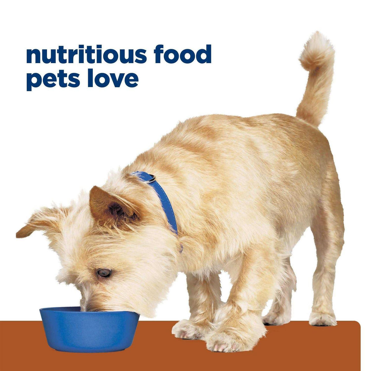 Kidney Care Dry Dog Food with Chicken M6009