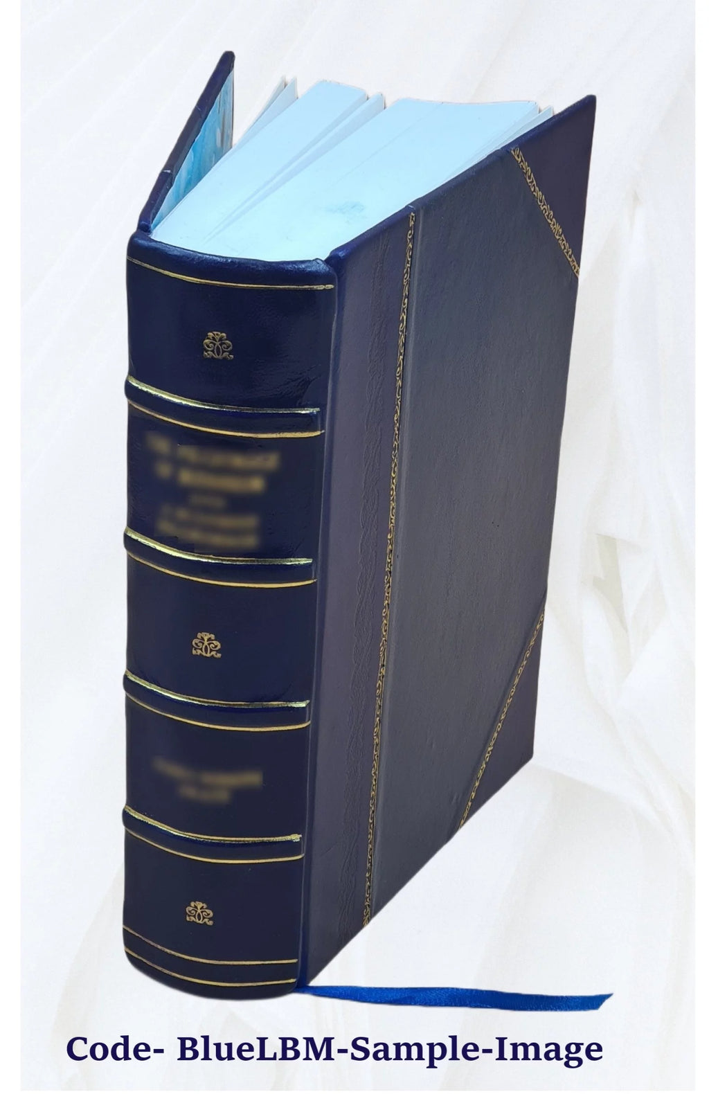 Leather Bound Book F39257