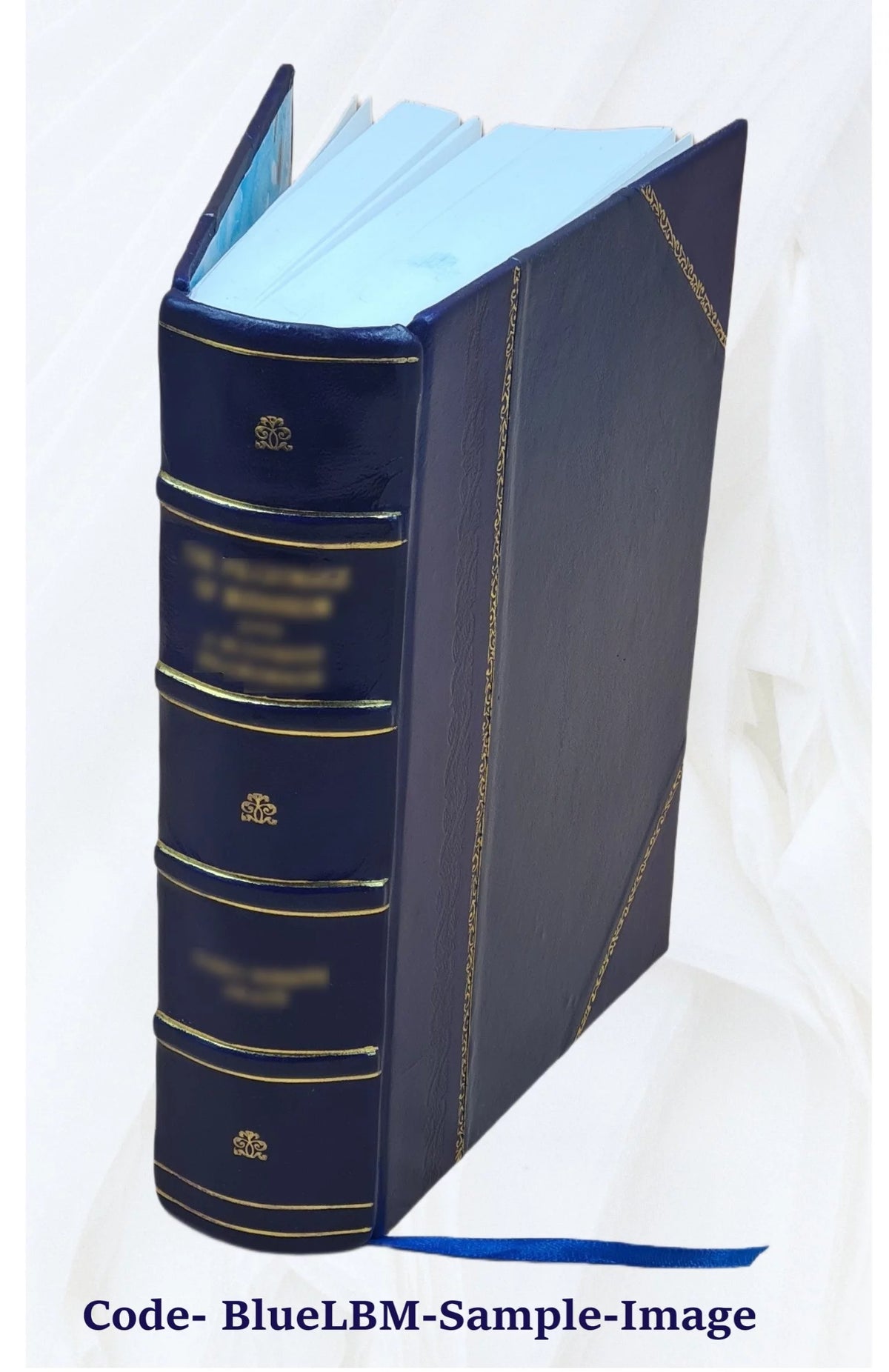Leather Bound Book F39257