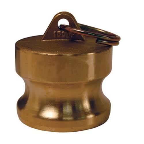 5x22 Cam and Groove Type DP Dust Plug Y290232