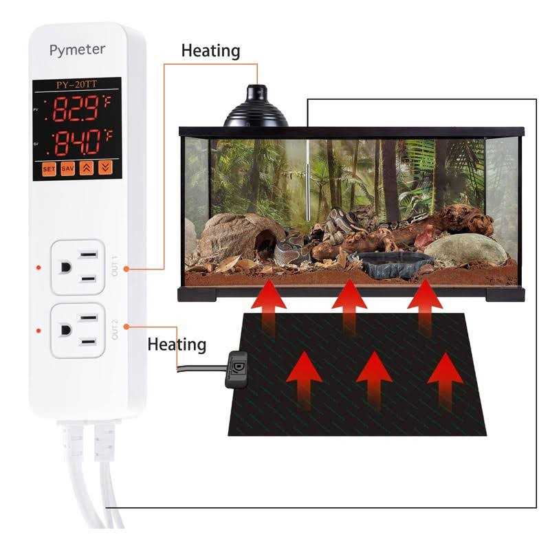 Digital Temperature Controller Dual Probe Thermostat Outlet P804158