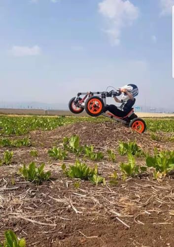 Electric Go Kart Battery Powered 800W Motor E4744