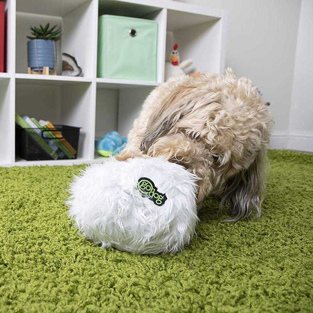 Dog Toy R5669