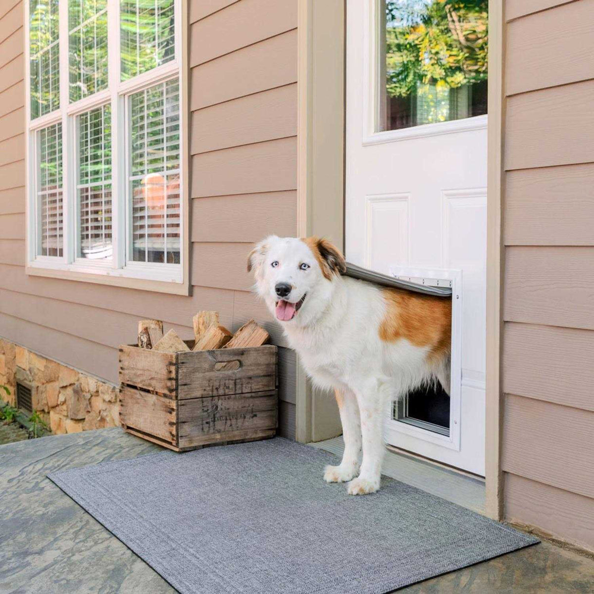 Aluminum Pet Door B44492