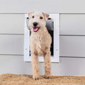 Wall Entry Pet Door O245