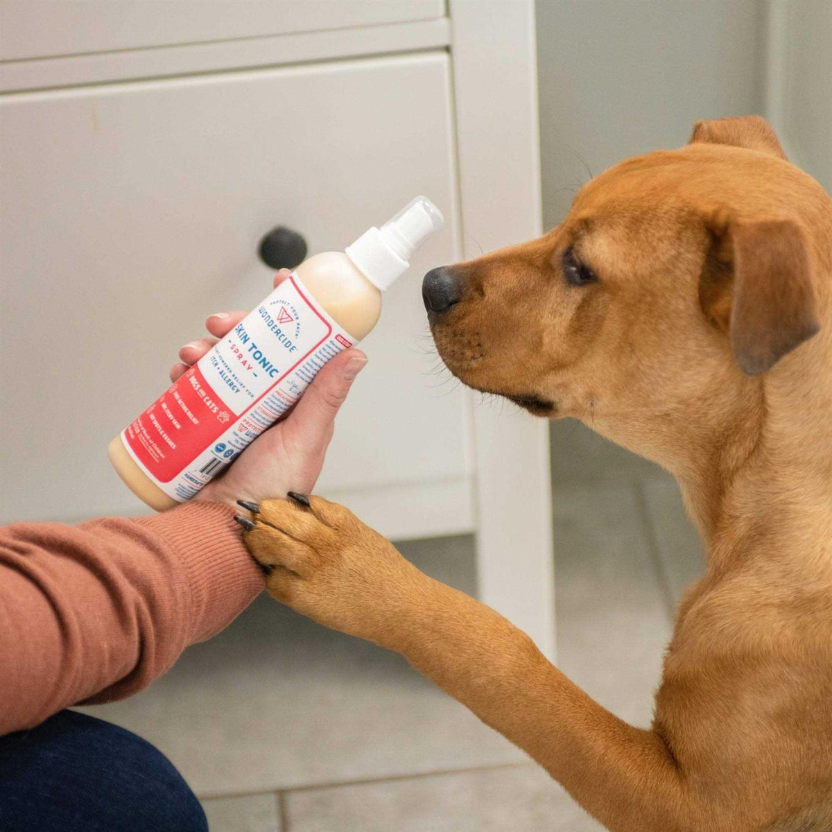 Pet Itch Spray B625