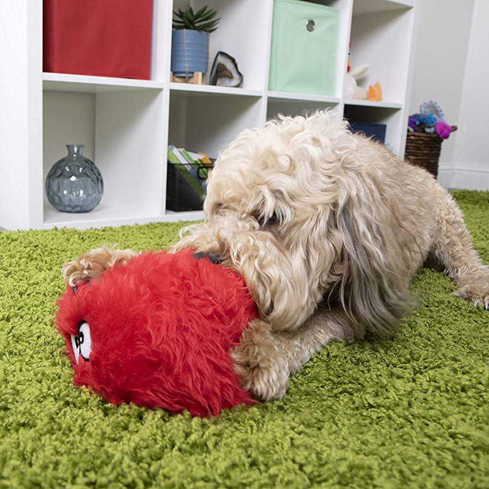 Dog Toy R5669