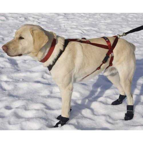 One Harness K80467