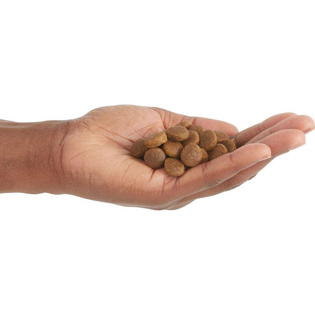 Poultry Dry Dog Food W305871