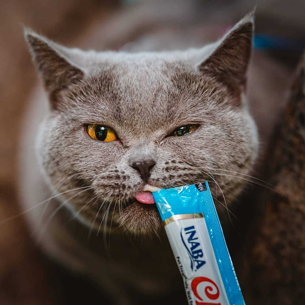 Lickable Tuna and Chicken Cat Treats Z1023