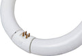12-Pack Cool White T9 Circuline Fluorescent Lamp P828