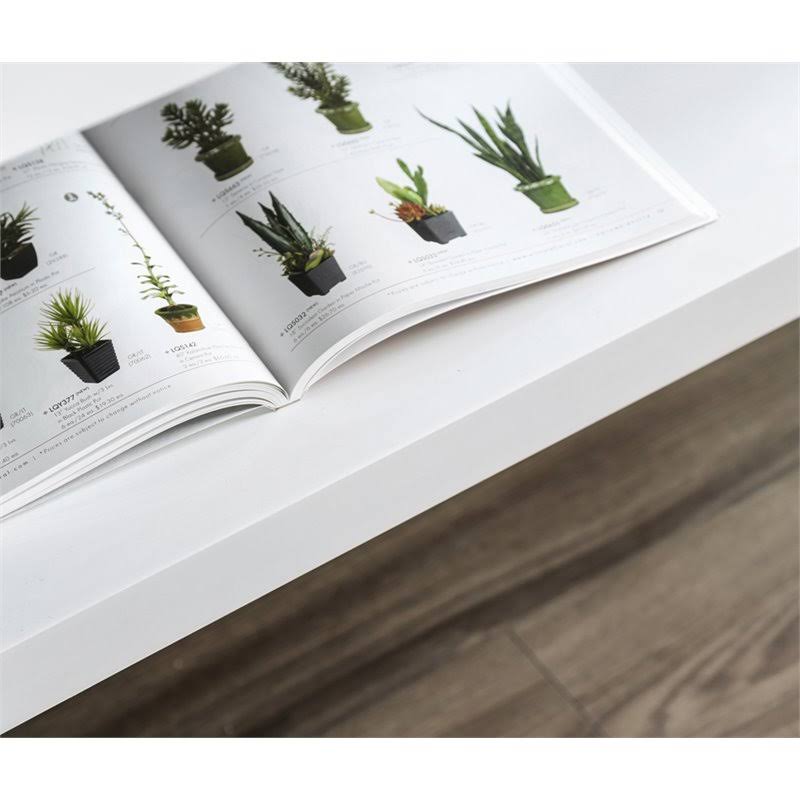 White Storage Console Table Z848