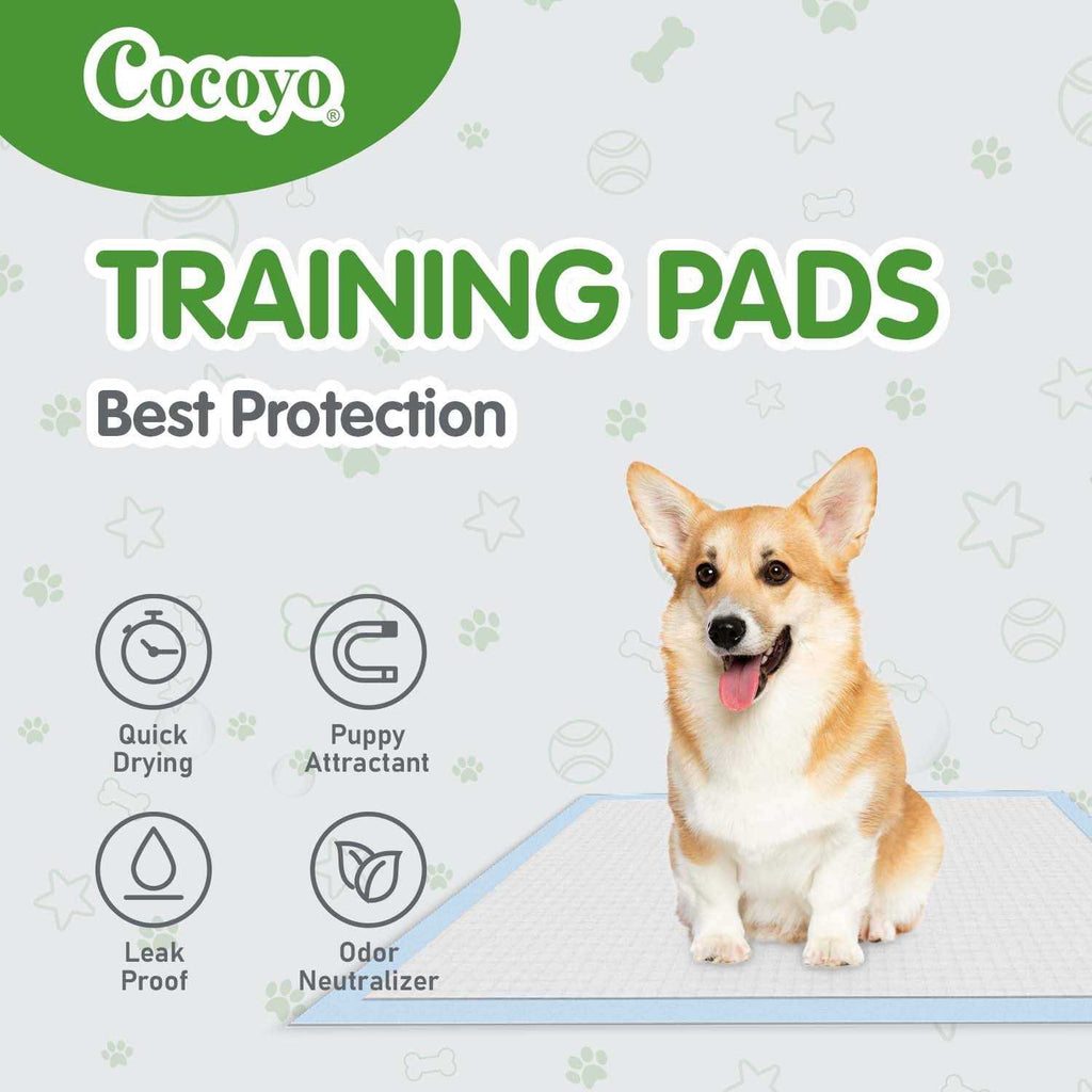 Training Pads Y333