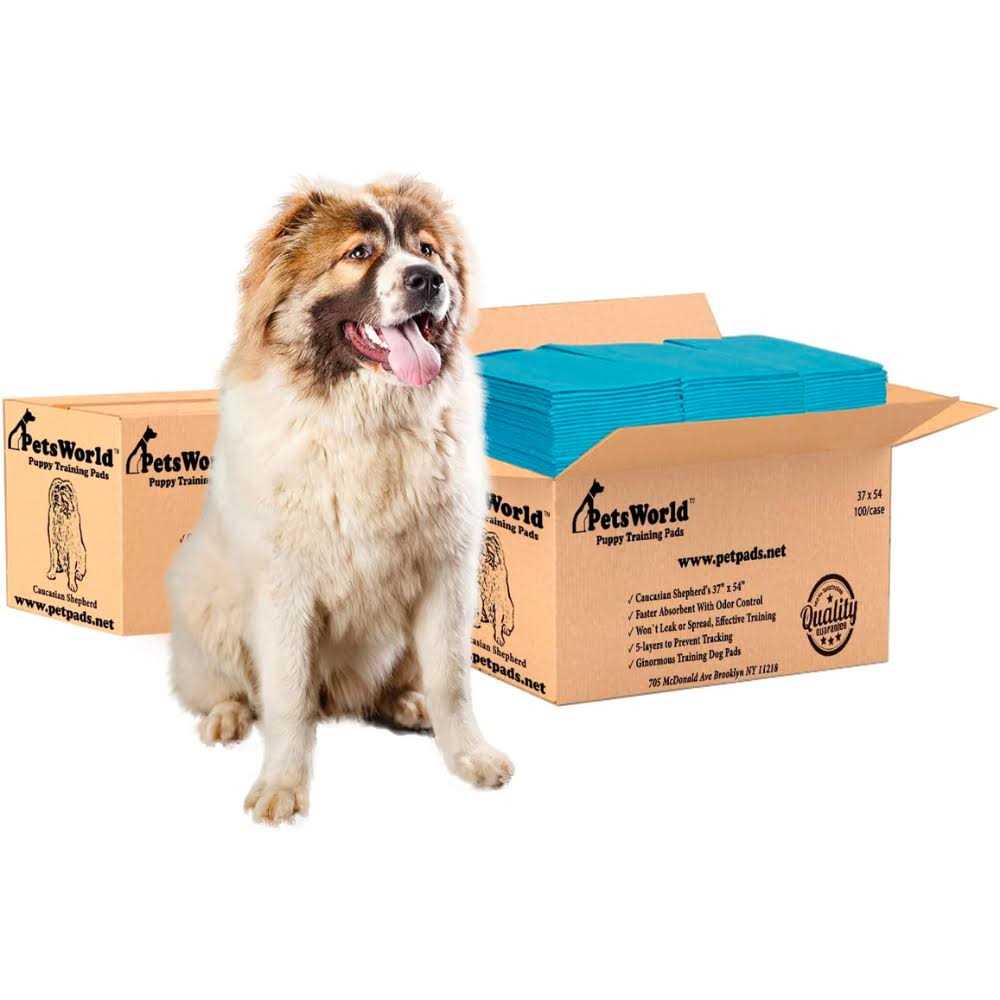 XXL Tear Resistant Pet Potty Pads H345535