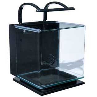 5 Gallon Kit G348