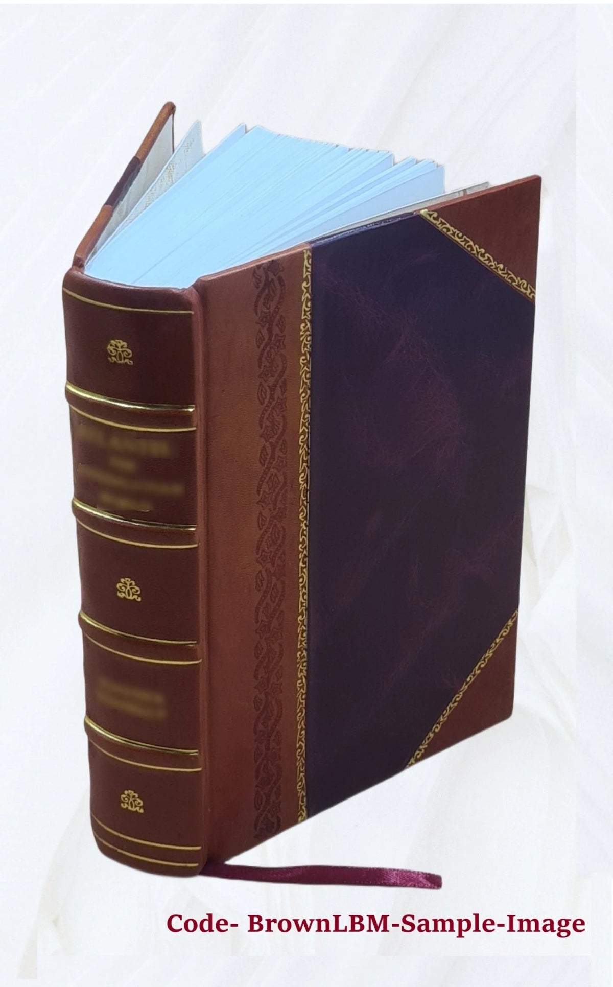 Leather Bound Book F39257