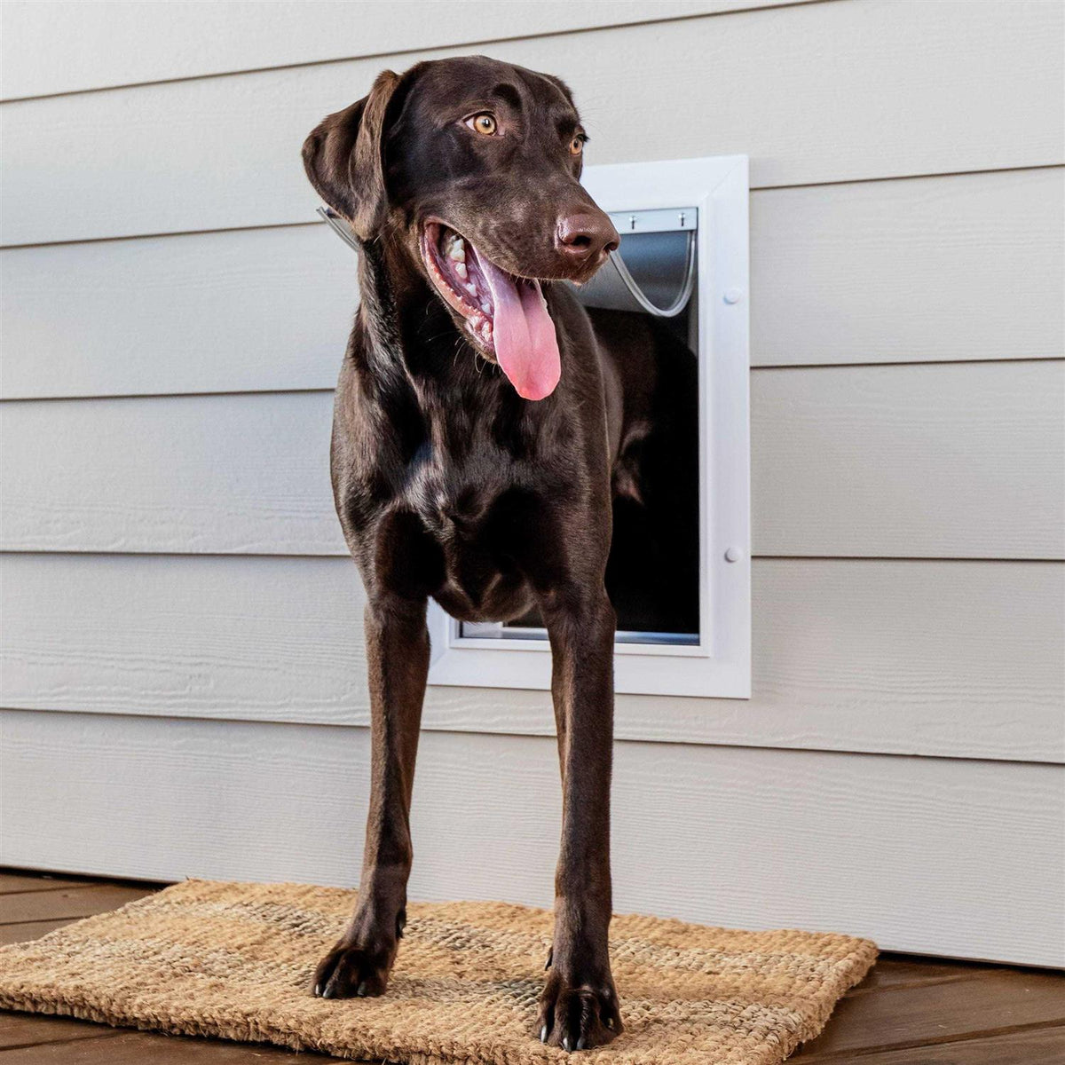 Wall Entry Pet Door O245