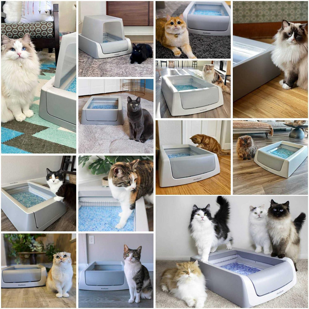 Self-Cleaning Cat Litter Box B87668