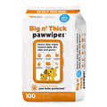 Pet Wipes 100 R1609
