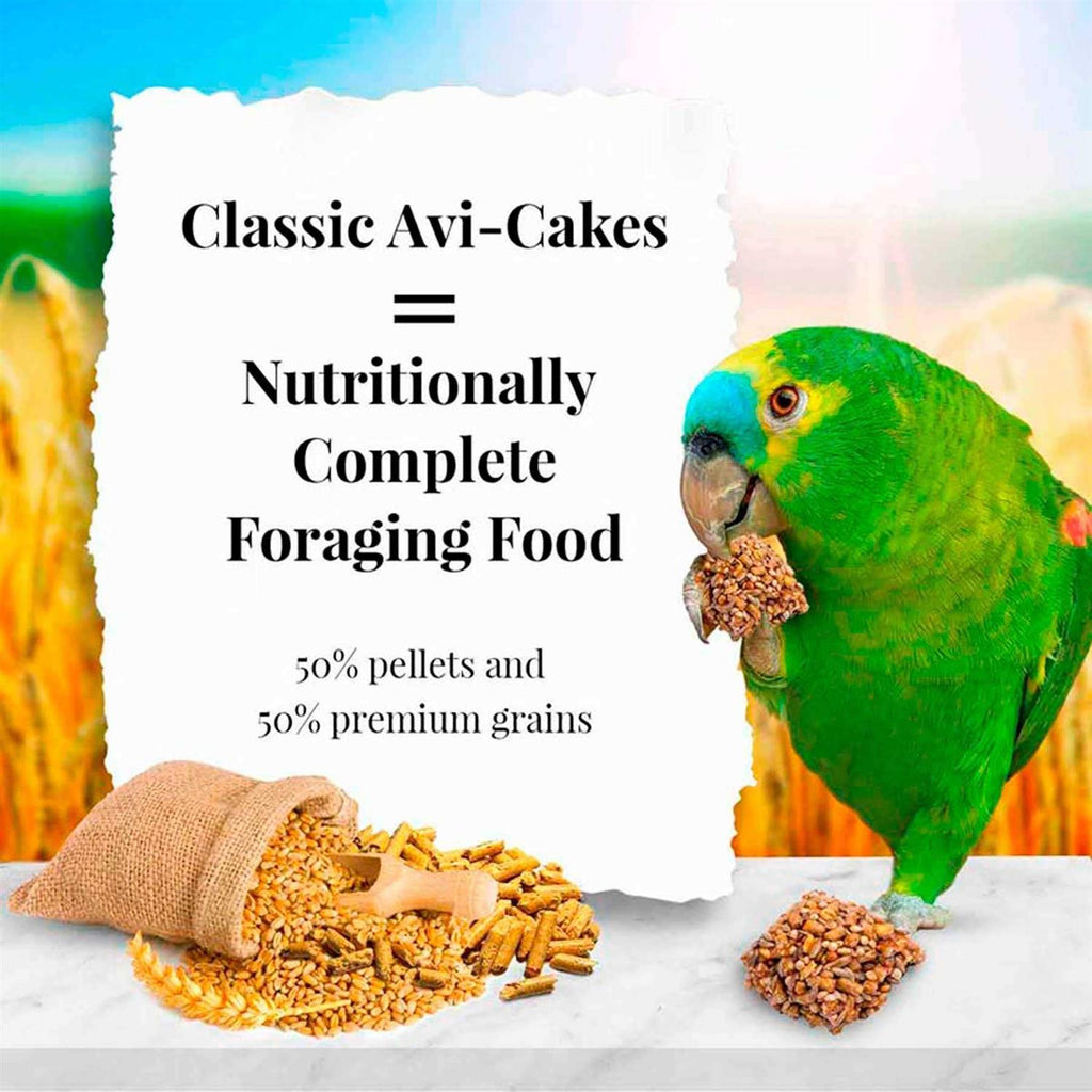 Parrot Food W96596