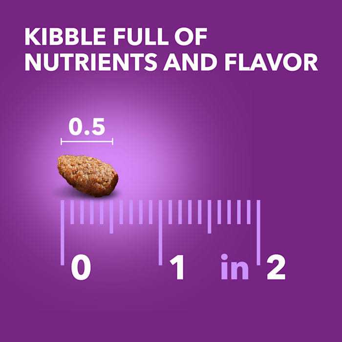 Healthy Digestion Dry Dog Food with Real Chicken T82816