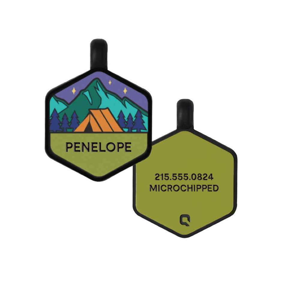 Silicone Dog ID Tag H11966