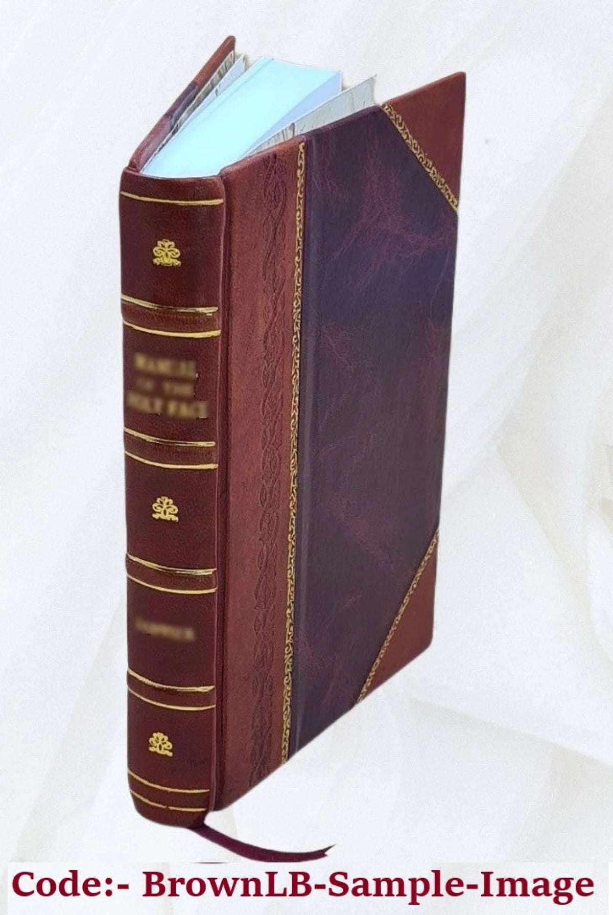 Novel A45636
