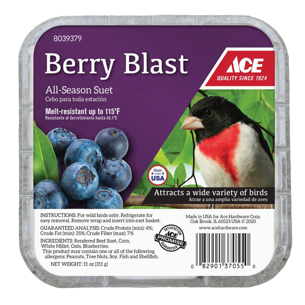 Beef Suet 11 oz T5436