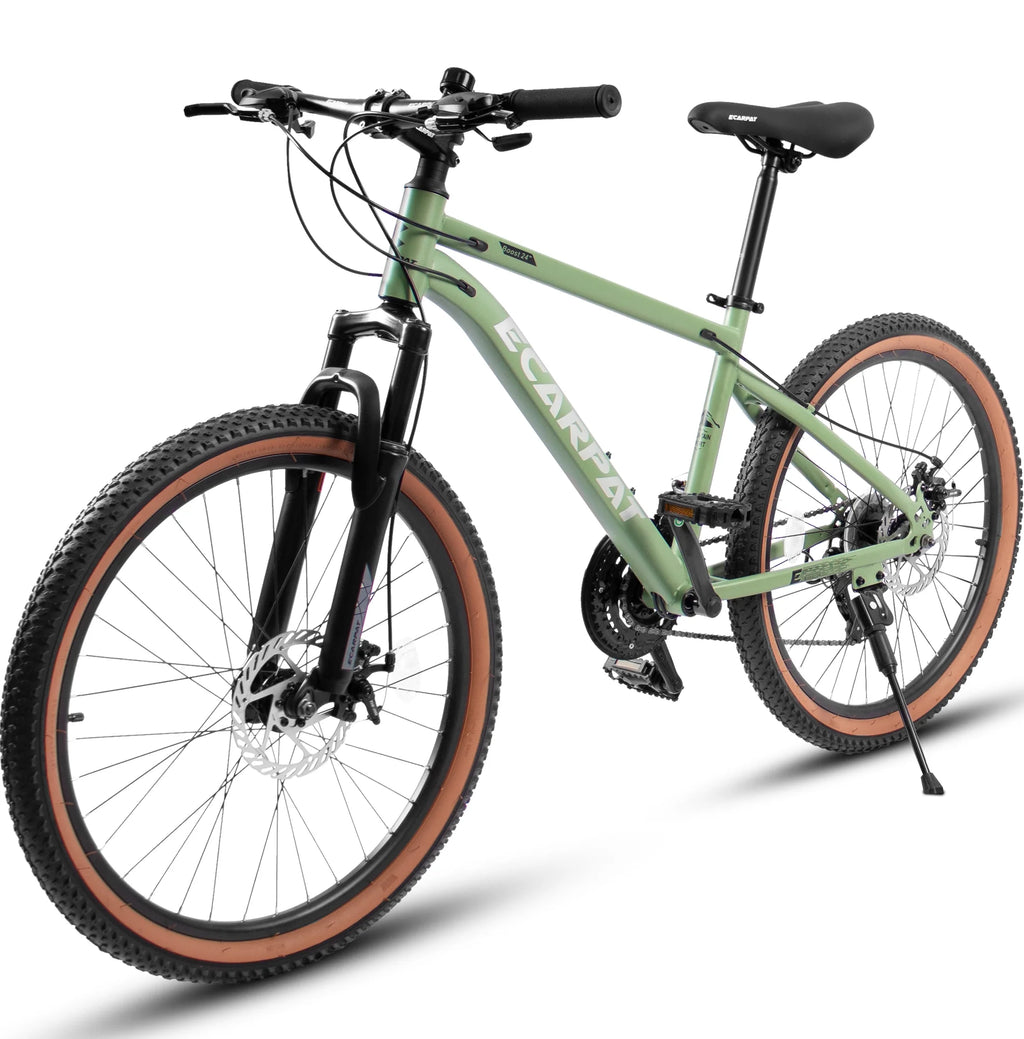 24 inch Mountain Bike with 21 Speed Disc Brakes F104406